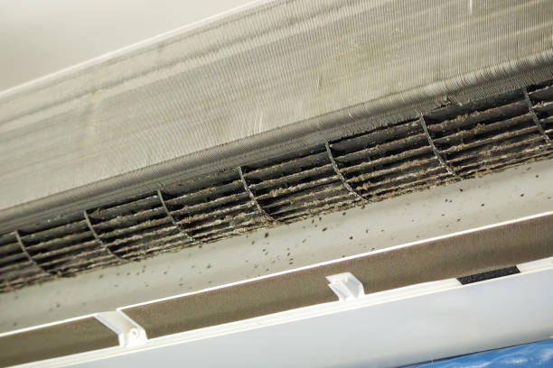 Best Air Duct Cleaning Company Near Me  in Beverly Hills, CA